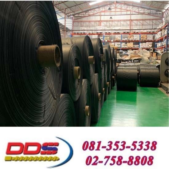 รับผลิตถุงพลาสติกOEMใกล้ฉัน รับผลิตถุงพลาสติกOEMใกล้ฉัน